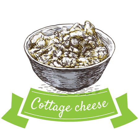 Cottage cheese colorful illustration. Vector illustration of breakfast.のイラスト素材