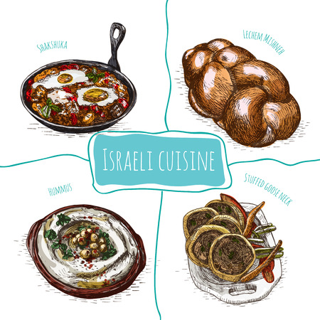 Menu of Israel colorful illustration. Vector illustration of israeli cuisine.のイラスト素材