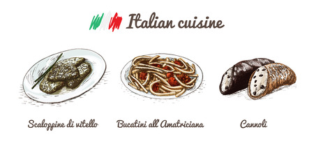 Italian menu colorful illustration. Vector illustration of Italian cuisine.のイラスト素材