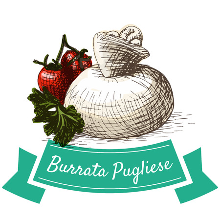 Burrata Pugliese colorful illustration. Vector illustration of Italian cuisine.のイラスト素材