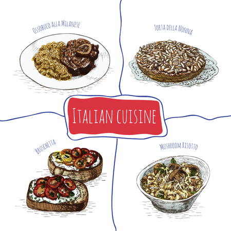 Italian menu colorful illustration. Vector illustration of Italian cuisine.のイラスト素材