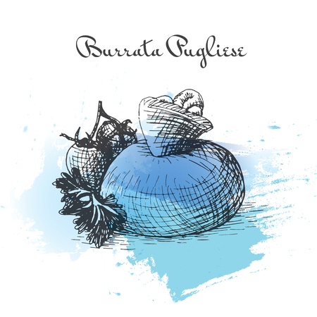 Burrata Pugliese watercolor effect illustration. Vector illustration of Italian cuisine.のイラスト素材