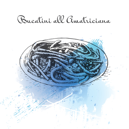 Bucatini All Amatriciana watercolor effect illustration. Vector illustration of Italian cuisine.のイラスト素材