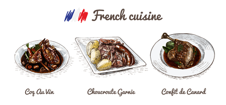 French menu colorful illustration. Vector illustration of French cuisine.のイラスト素材