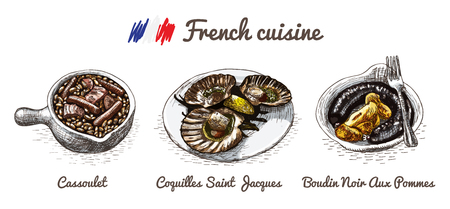 French menu colorful illustration. Vector illustration of French cuisine.のイラスト素材
