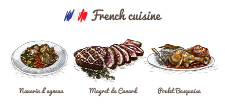 French menu colorful illustration. Vector illustration of French cuisine.のイラスト素材
