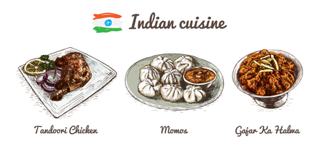 Indian menu colorful illustration. Vector illustration of Indian cuisine.のイラスト素材