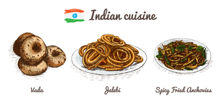 Indian menu colorful illustration. Vector illustration of Indian cuisine.のイラスト素材