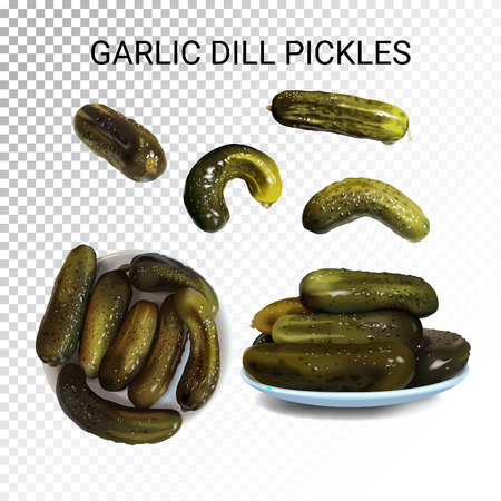 Vector realistic illustration of pickled cucumbers. Colorful objects on a transparent background.のイラスト素材