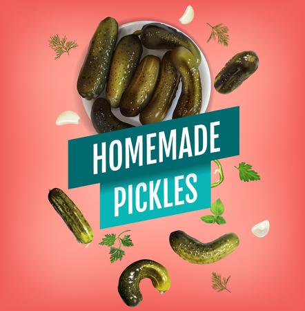Vector realistic illustration of pickled cucumber. Poster with pickles.のイラスト素材