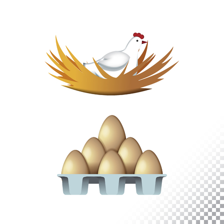 Vector flat icon illustration of hen and eggs. Colorful objects on a transparent background.のイラスト素材