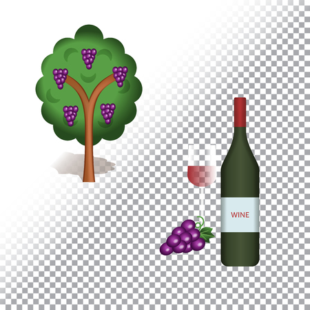 Vector flat icon illustration of grape bush and wine bottle. Colorful objects on a transparent background.のイラスト素材