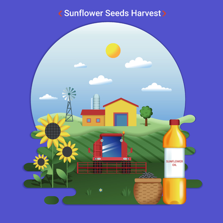 Flat farm landscape illustration of sunflower seeds harvest. Rural landscape with sunflower field and harvester.のイラスト素材