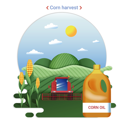 Flat farm landscape illustration of corn harvest. Rural landscape with corn fields and harvester.のイラスト素材