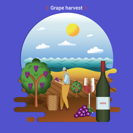 Flat farm landscape illustration of grape harvest. Rural landscape with grape valley, seaside. The farmer harvesting grapes for wine production.のイラスト素材