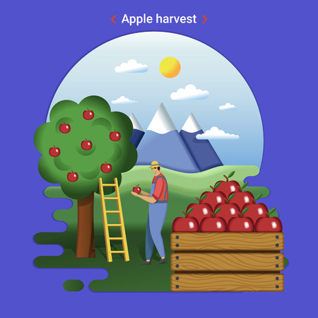 Flat farm landscape illustration of apple harvest. Rural landscape with garden and mountains. The farmer harvesting apples.のイラスト素材