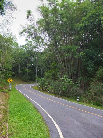 Asphalt road with bright white lines curves downhill with trees on sides in bright sunrise in Chiang Mai, Thailand. Vertical shotの写真素材