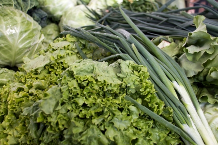 close up of green onions, Lettuce, cabbage on market standの写真素材