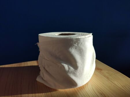 Toilet paper wearing a face maskの写真素材