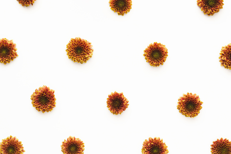 Orange flowers arrangement on white background.の写真素材