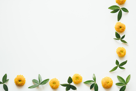 Creative border with yellow flower heads and green leaves on white background.の写真素材