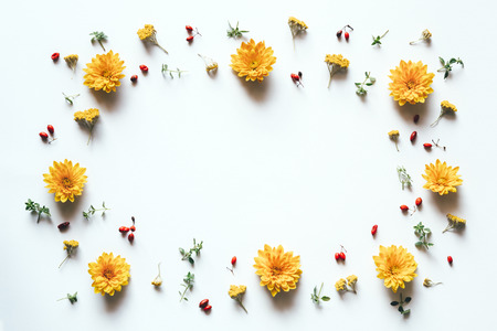 Frame with yellow flowers on white background.の写真素材