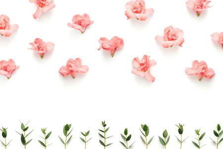 Pattern with pink flowers and green leaves on white background.の写真素材