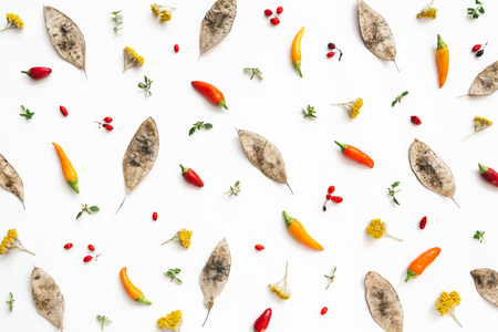 Autumn pattern with dry seeds, red berries and colorful chili peppers on white background. View from...