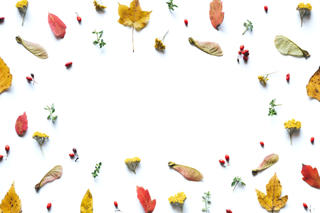 Autumn pattern with colorful leaves, red berries and seeds on white background.