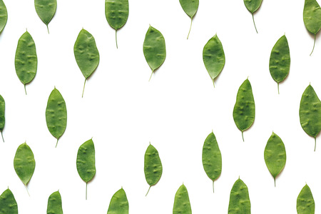 Pattern with fresh green seeds on white background. Full frame. View from above.
