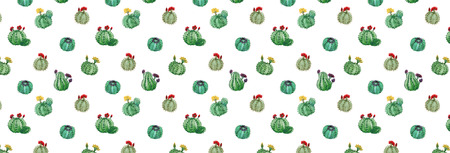 Full frame pattern with various cactuses.の写真素材