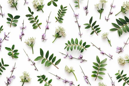 Spring pattern made of green leaves and flowers on white background. View from above. Flat lay....