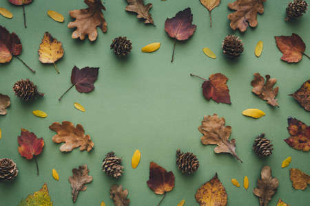 Autumn colored leaves on green background. View from above. Copy space.