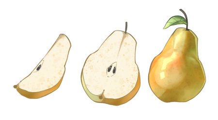 A Fresh Pear with Realistic Render Illustrationの写真素材