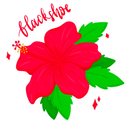 Red hibiscus flower on white background. Vector illustration.の写真素材