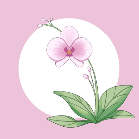 Orchid branch with stylized and Cartoonish Style Illustrationの写真素材