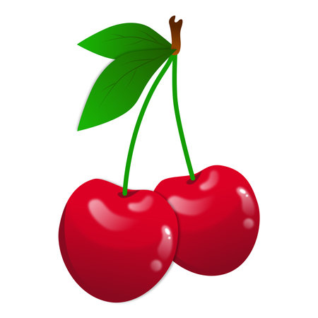 Cherry isolated on white background. Vector illustration. Eps 10.のイラスト素材