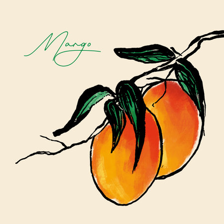 Hand drawn illustration of ripe mango fruit on branch.の写真素材