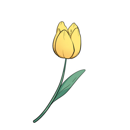 Cute Tulip Yellow Flower Illustration Raster Hand Drawnの写真素材