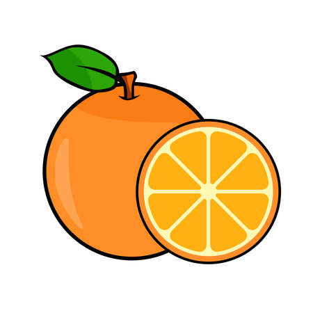 orange fruit vector illustration graphicのイラスト素材