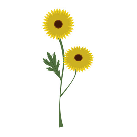 Sunflower Growing with Leafのイラスト素材