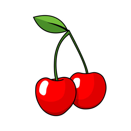 cherry fruit vector illustration graphicのイラスト素材