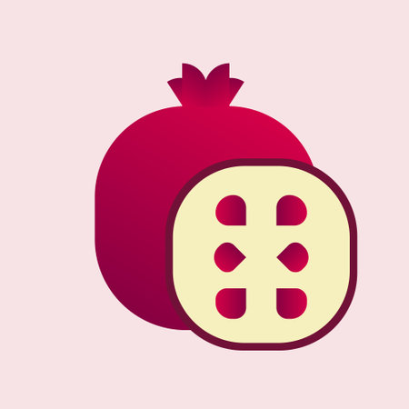 Simple and minimalist pomegranateのイラスト素材