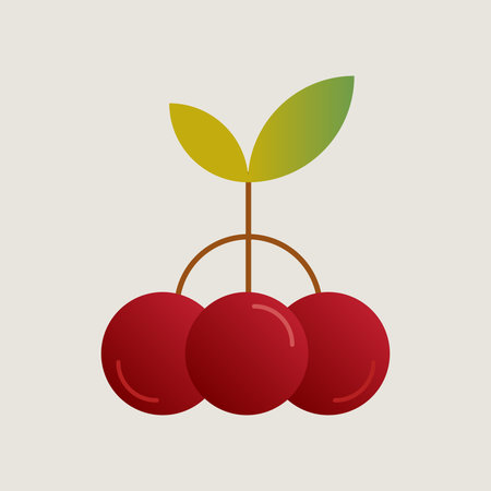 Minimalist illustration of cherry