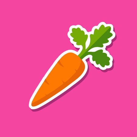 Isolated Carrot Vegetable Vector Illustration in Pink Backgroundのイラスト素材