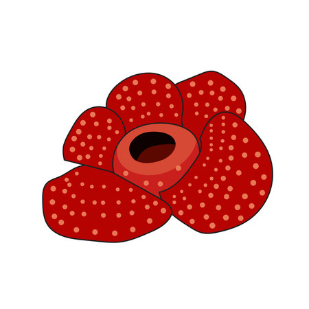 simple corpse flower vector illustrationのイラスト素材