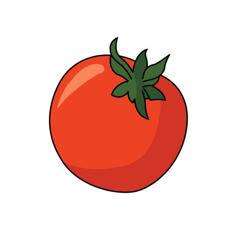 simple tomato vector illustration graphicのイラスト素材