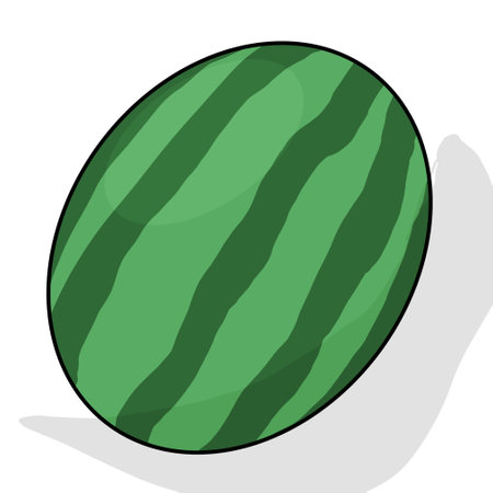 Watermelon isolated on white background. Vector illustration. Eps 10.の写真素材