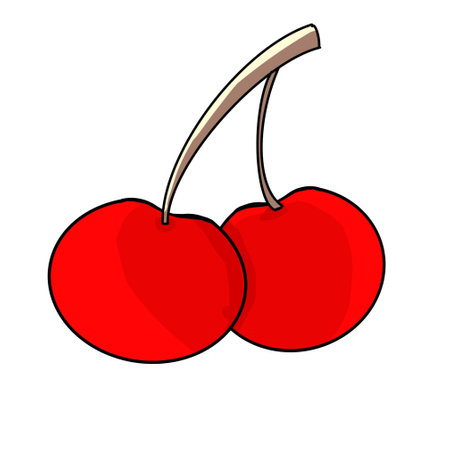Cherry icon. Cartoon illustration of cherry vector icon for web designの写真素材