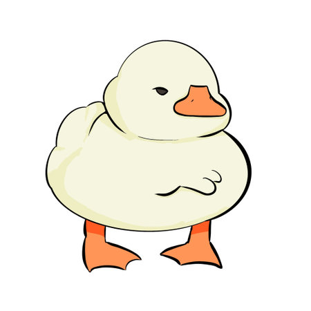 Vector illustration of a cute cartoon duck. Isolated on white background.の写真素材